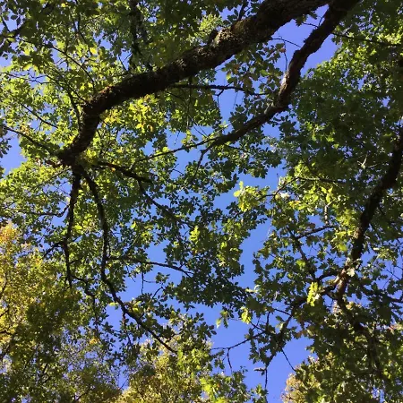 Avec Privatif אכסניה Livernon