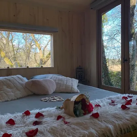 Avec Privatif אכסניה *