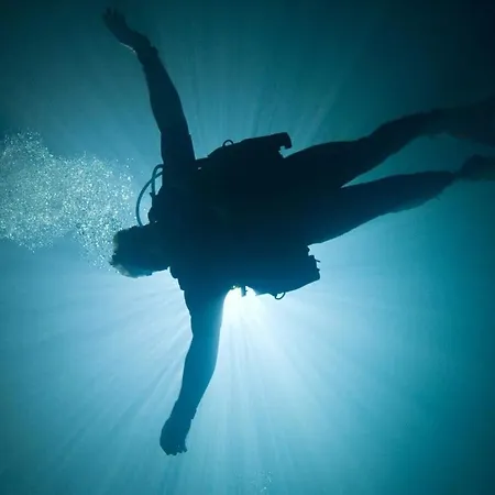 Avec Privatif אכסניה Livernon